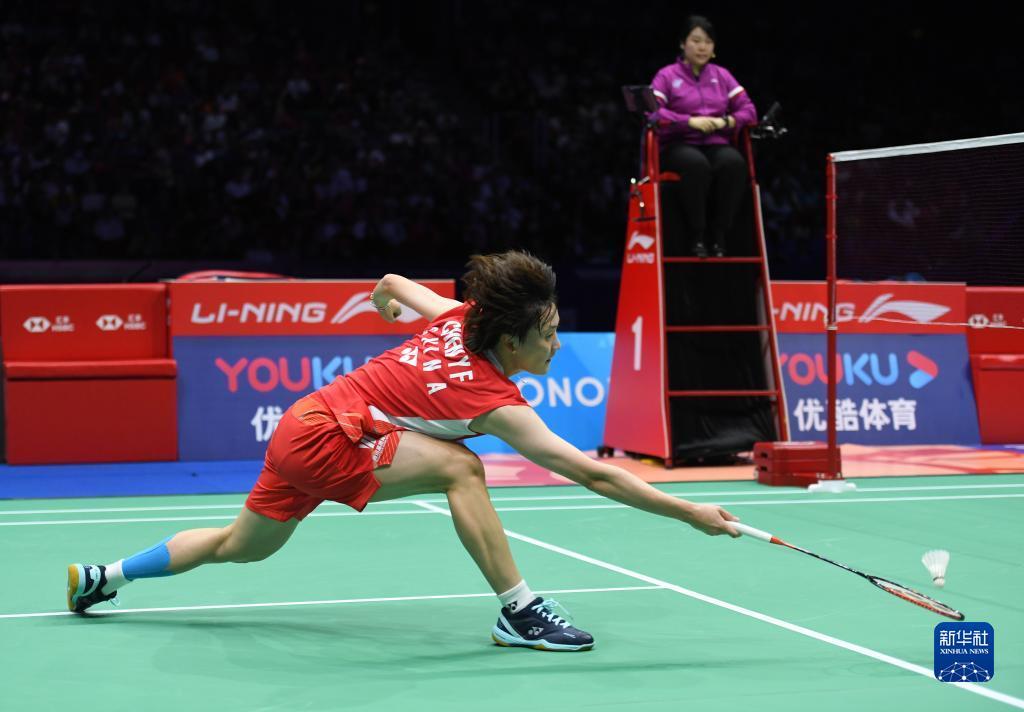 种子球员稳 种子球员稳